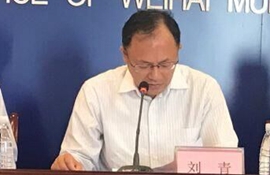 市发展改革委副主任 刘青