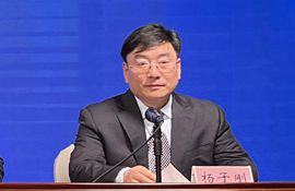 市大数据中心副主任 杨子刚