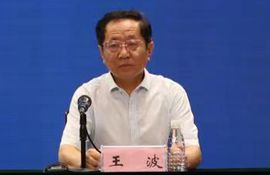 市新旧动能办副主任 王波