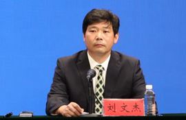 市城市管理综合服务中心副主任 刘文杰