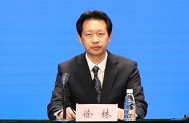 市行政审批服务局党组副书记、局长 徐林