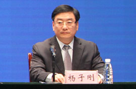 市大数据中心副主任 杨子刚