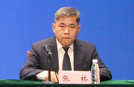 市应急管理综合行政执法支队支队长 张桥