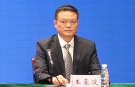  临港区行政审批服务局党组成员、副局长 王基波