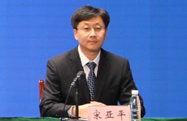 市图书馆党支部书记、馆长 宋亚平