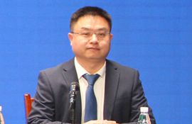 市文化和旅游局党组成员、副局长 金连芳