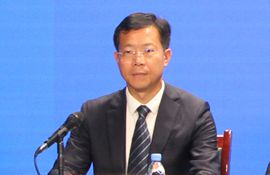 市体育局党组书记、局长 李映华