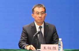 经开区社会事业局党组书记、局长 王祖胜